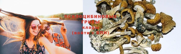 индика Алексин