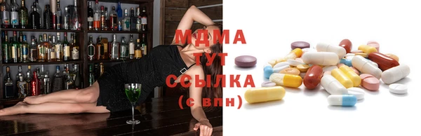 индика Алексин