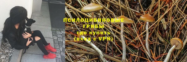 индика Алексин