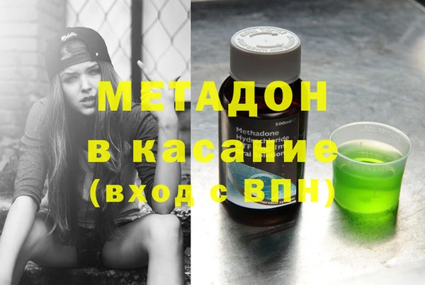 индика Алексин