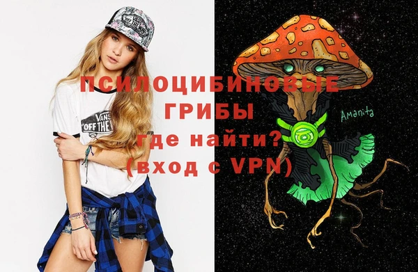 индика Алексин