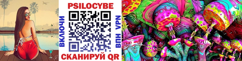 Купить  Бологое  Псилоцибиновые грибы прущие грибы 