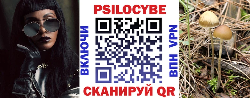 Псилоцибиновые грибы ЛСД Бологое